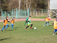 IMG_8480